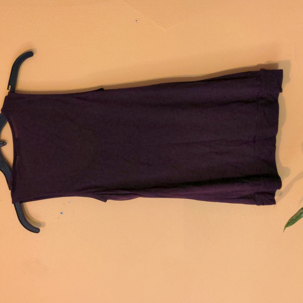 Purple Top Express - Picture 3 of 5